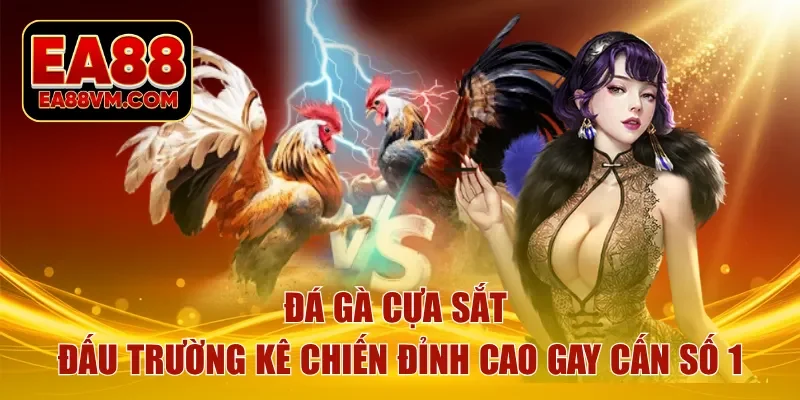 đá gà cựa sắt