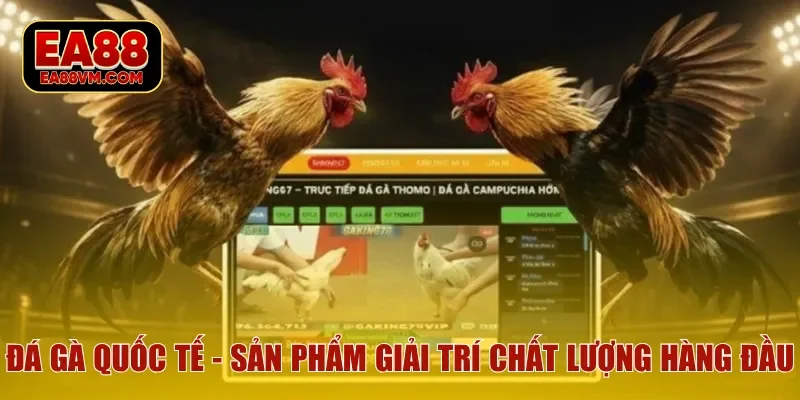 Đá gà quốc tế - Sản phẩm giải trí chất lượng hàng đầu