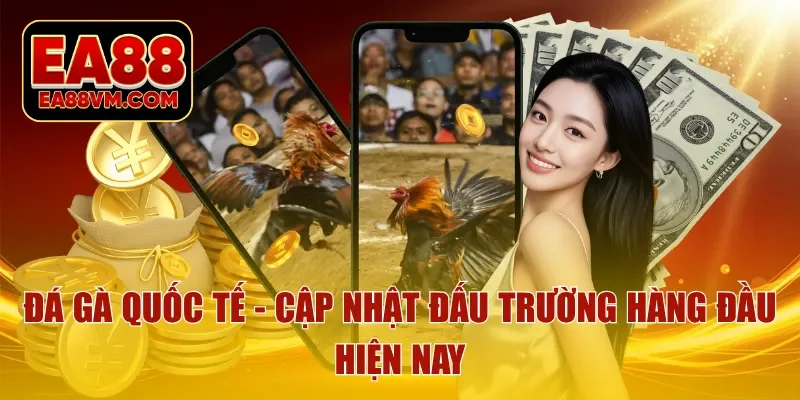 đá gà quốc tế