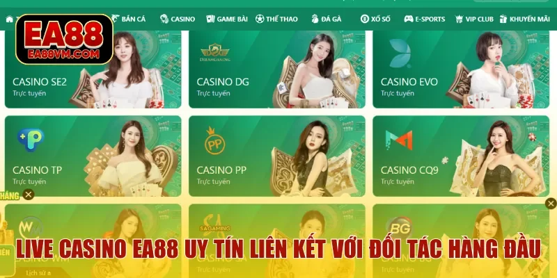 Live casino EA88 uy tín liên kết với đối tác hàng đầu