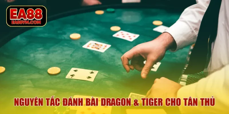 Nguyên tắc đánh bài Dragon & Tiger cho tân thủ